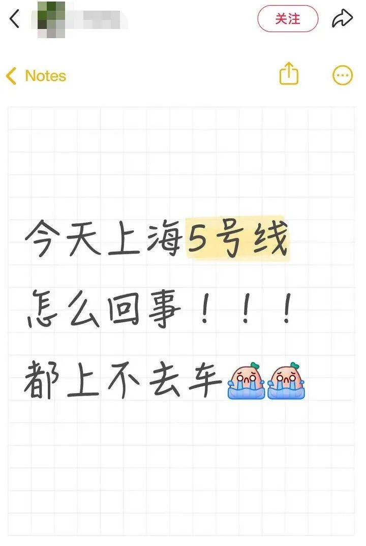 上海地铁5号线突发故障，站台上挤满了人！网友：“下的没下完，上的上不去”！官方致歉